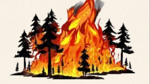 CHỦ ĐỘNG PHÒNG, CHỐNG CHÁY RỪNG TRÁCH NHIỆM CỦA MỖI NGƯỜI DÂN