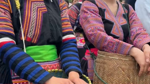 Sôi nổi phần thi hái mận