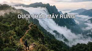 Dưới thác mây rừng