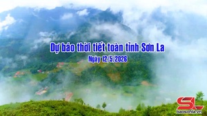 Dự báo thời tiết toàn tỉnh Sơn La ngày 12/5/2026