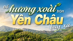 Để hương xoài tròn Yên Châu bay xa