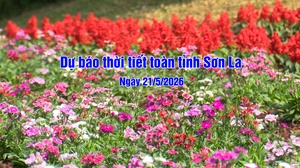 Dự báo thời tiết toàn tỉnh Sơn La ngày 21/5/2026