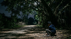 Dưới những tán cây