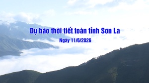 Dự báo thời tiết toàn tỉnh Sơn La ngày 11/6/2026