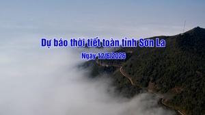 Dự báo thời tiết toàn tỉnh Sơn La ngày 12/6/2026