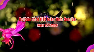 Dự báo thời tiết toàn tỉnh Sơn La ngày 15/7/2026