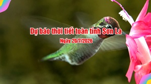 Dự báo thời tiết toàn tỉnh Sơn La ngày 20/7/2026