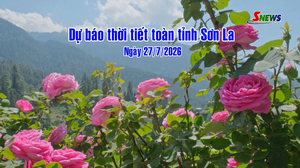 Dự báo thời tiết toàn tỉnh Sơn La ngày 27/07/2026