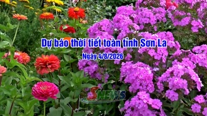 Dự báo thời tiết toàn tỉnh Sơn La ngày 04/8/2026