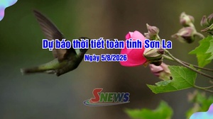 Dự báo thời tiết toàn tỉnh Sơn La ngày 05/8/2026