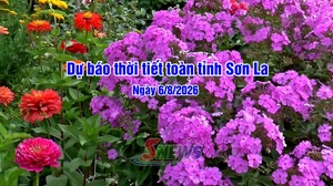 Dự báo thời tiết toàn tỉnh Sơn La ngày 12/8/2026