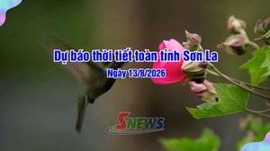 Dự báo thời tiết toàn tỉnh Sơn La ngày 13/8/2026