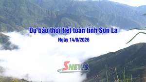 Dự báo thời tiết toàn tỉnh Sơn La ngày 14/8/2026