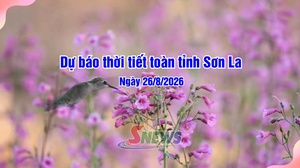 Dự báo thời tiết toàn tỉnh Sơn La ngày 26/8/2026