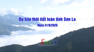 Dự báo thời tiết toàn tỉnh Sơn La ngày 31/8/2026
