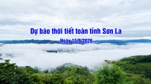 Dự báo thời tiết toàn tỉnh Sơn La ngày 15/9/2026