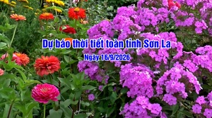 Dự báo thời tiết toàn tỉnh Sơn La ngày 16/9/2026
