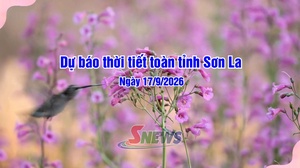 Dự báo thời tiết toàn tỉnh Sơn La ngày 17/9/2026