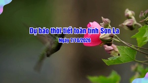 Dự báo thời tiết toàn tỉnh Sơn La ngày 07/10/2026