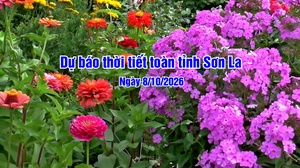 Dự báo thời tiết toàn tỉnh Sơn La ngày 08/10/2026