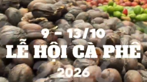 240 gian hàng ở Lễ hội Cà phê Sơn La, bạn đã khám phá hết chưa?