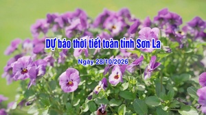 Dự báo thời tiết toàn tỉnh Sơn La ngày 28/10/2026