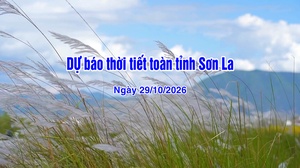 Dự báo thời tiết toàn tỉnh Sơn La ngày 29/10/2026