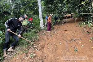 Bó Mười chú trọng quản lý, bảo vệ rừng