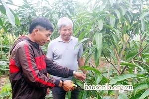 Vốn cho người lao động trở về từ vùng dịch