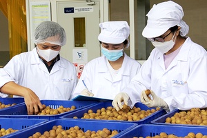 Quỹ Bảo hiểm thất nghiệp đã hỗ trợ người lao động hơn 24,6 nghìn tỷ đồng