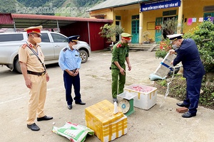 Kiểm dịch động vật nơi cửa ngõ