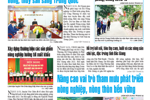 Báo Sơn La, Thứ 6 ngày 12/11/2021