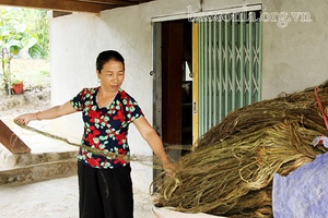 Liên Hòa chuyển hướng sản xuất