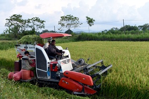 Bảo đảm nguồn nước cho sản xuất vụ đông xuân