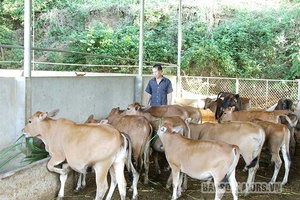 Nguồn vốn ưu đãi giúp người dân phát triển kinh tế