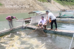 Đảng bộ xã Mường Khiêng lãnh đạo phát triển kinh tế