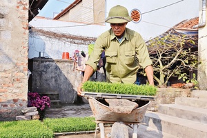 Nguy cơ rét đậm và thiếu nước vụ đông xuân