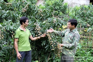 Hiệu quả nguồn vốn quỹ hỗ trợ nông dân