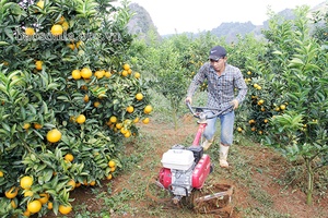Huy động, sử dụng hiệu quả các nguồn lực đầu tư