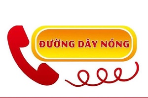 Sở Thông tin và Truyền thông thiết lập đường dây nóng