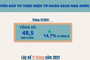 Vốn đầu tư thực hiện từ ngân sách nhà nước tháng 11 tăng 14,7%