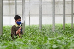 Việt Nam hướng tới nền nông nghiệp tăng trưởng xanh