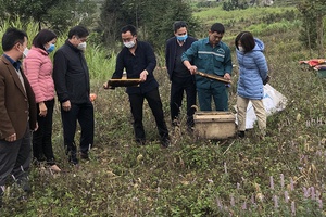 Cầu nối chuyển giao khoa học, kỹ thuật vào sản xuất nông nghiệp