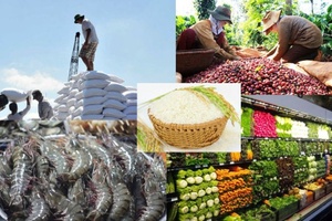Thay đổi nhận thức, nâng cao chất lượng nông sản Việt