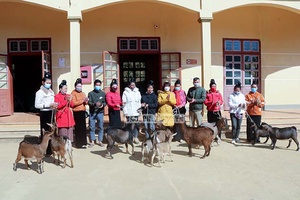 Hội LHPN Thành phố hỗ trợ hội viên mua dê giống