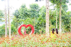 Tháo gỡ khó khăn, hỗ trợ các HTX phi nông nghiệp