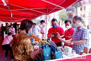 Thích ứng an toàn và phát triển nông nghiệp trong đại dịch Covid-19