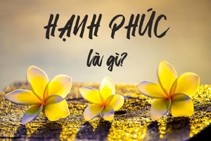 Hạnh phúc đâu chỉ có...