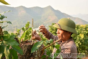 Vai trò người có uy tín trong đồng bào dân tộc thiểu số