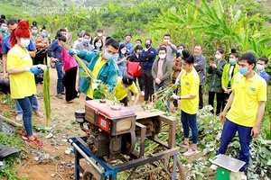 Ngày hội đánh giá hiệu quả sản xuất cây gai xanh AP1 tại Sông Mã